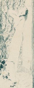 Vrouw bij een Raam, 1893 door Edouard Vuillard
